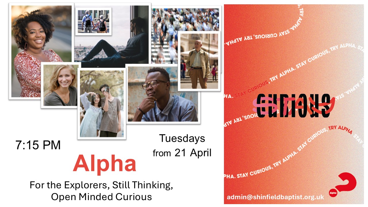 Alpha Flyer 26 front